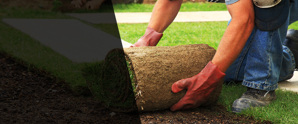 Linn Landscapers