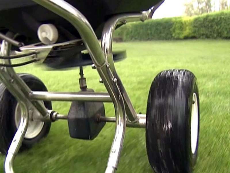 Fertilization
